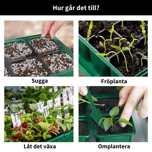 SpiraBox LED - Inomhusväxthus med LED-belysning och luftcirkulation