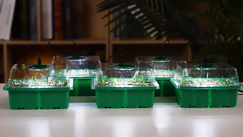 SpiraBox LED - Inomhusväxthus med LED-belysning och luftcirkulation